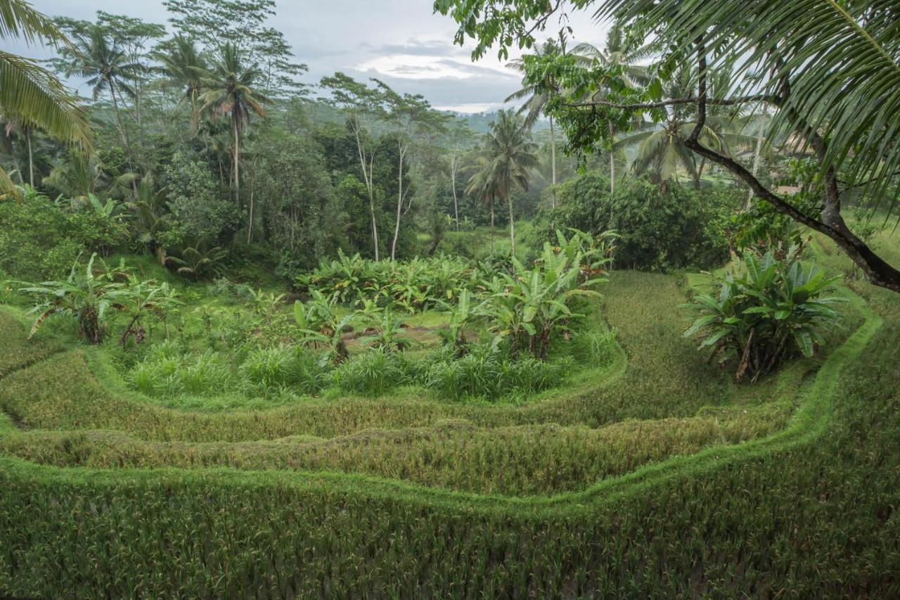 Masakali Retreat Hotel Ubud Exterior foto